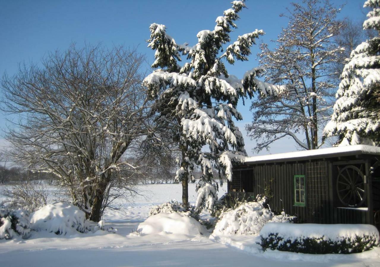 Vila Ferienhaus Uchte / Darlaten Exteriér fotografie